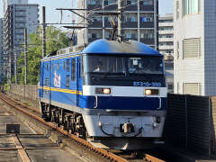 2025/8/26i΁j{tɂ (摜TCY: 1280~960 322kB)