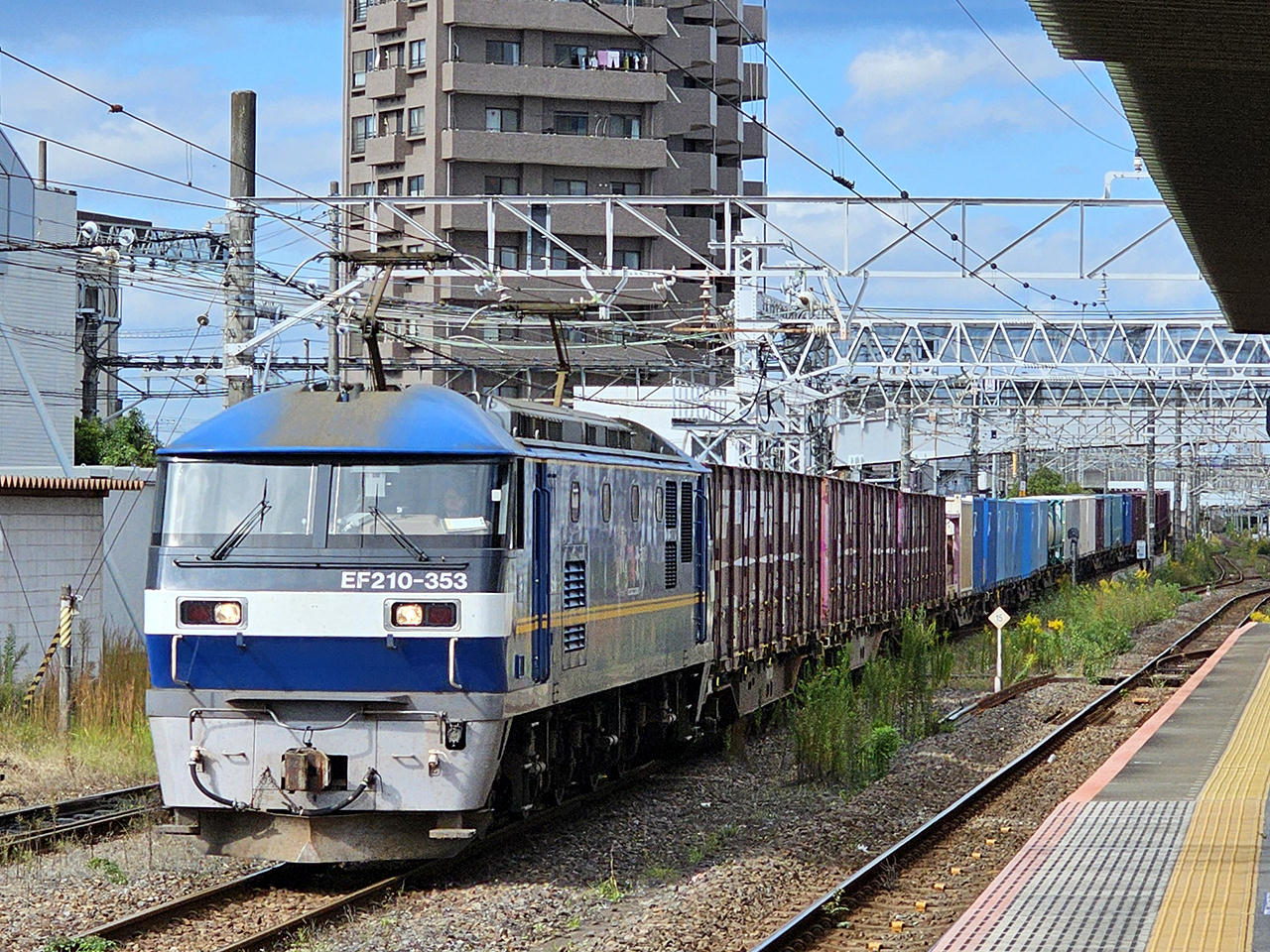 �t���T�C�Y�摜