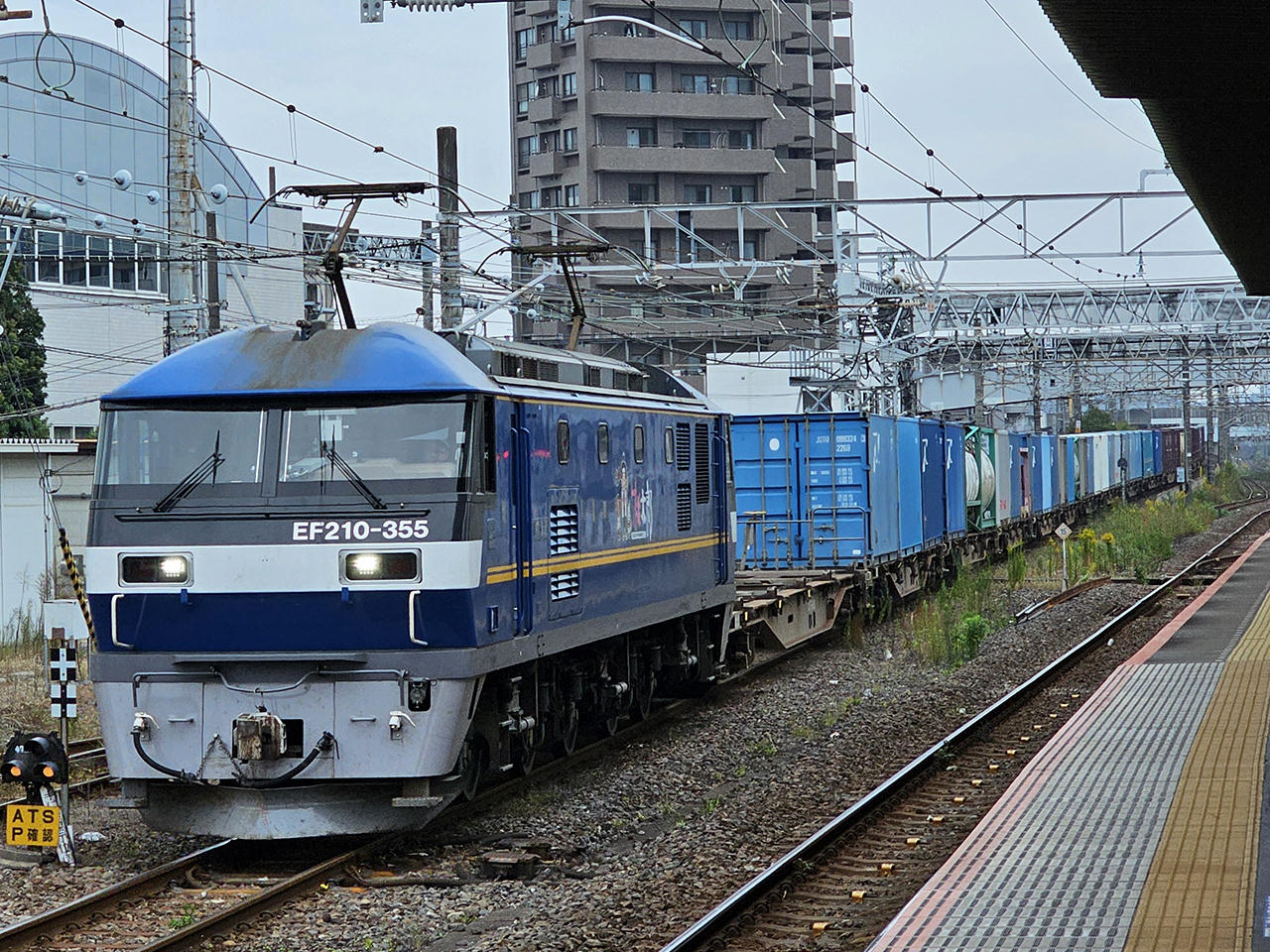 �t���T�C�Y�摜