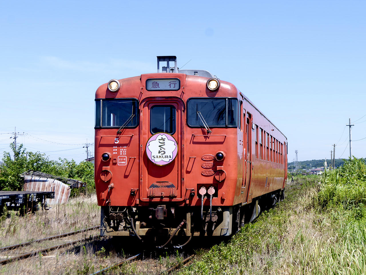 2025/8/15ijycz (摜TCY: 1280~960 276kB)