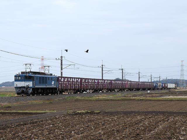 愛知機関区EF64-1049